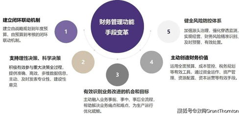 圖解 關(guān)于中央企業(yè)加快建設(shè)世界一流財務(wù)管理體系的指導(dǎo)意見